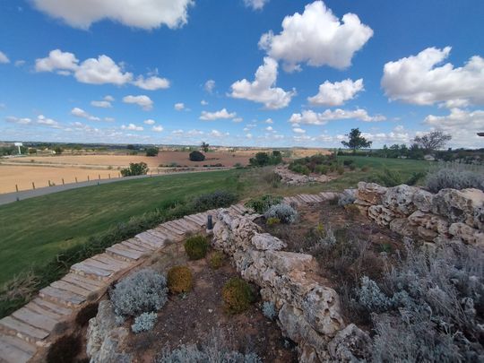 ribera de duero